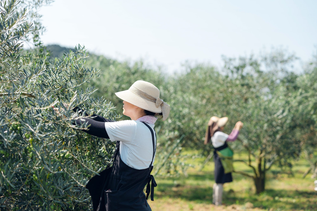 コンセプト画像
