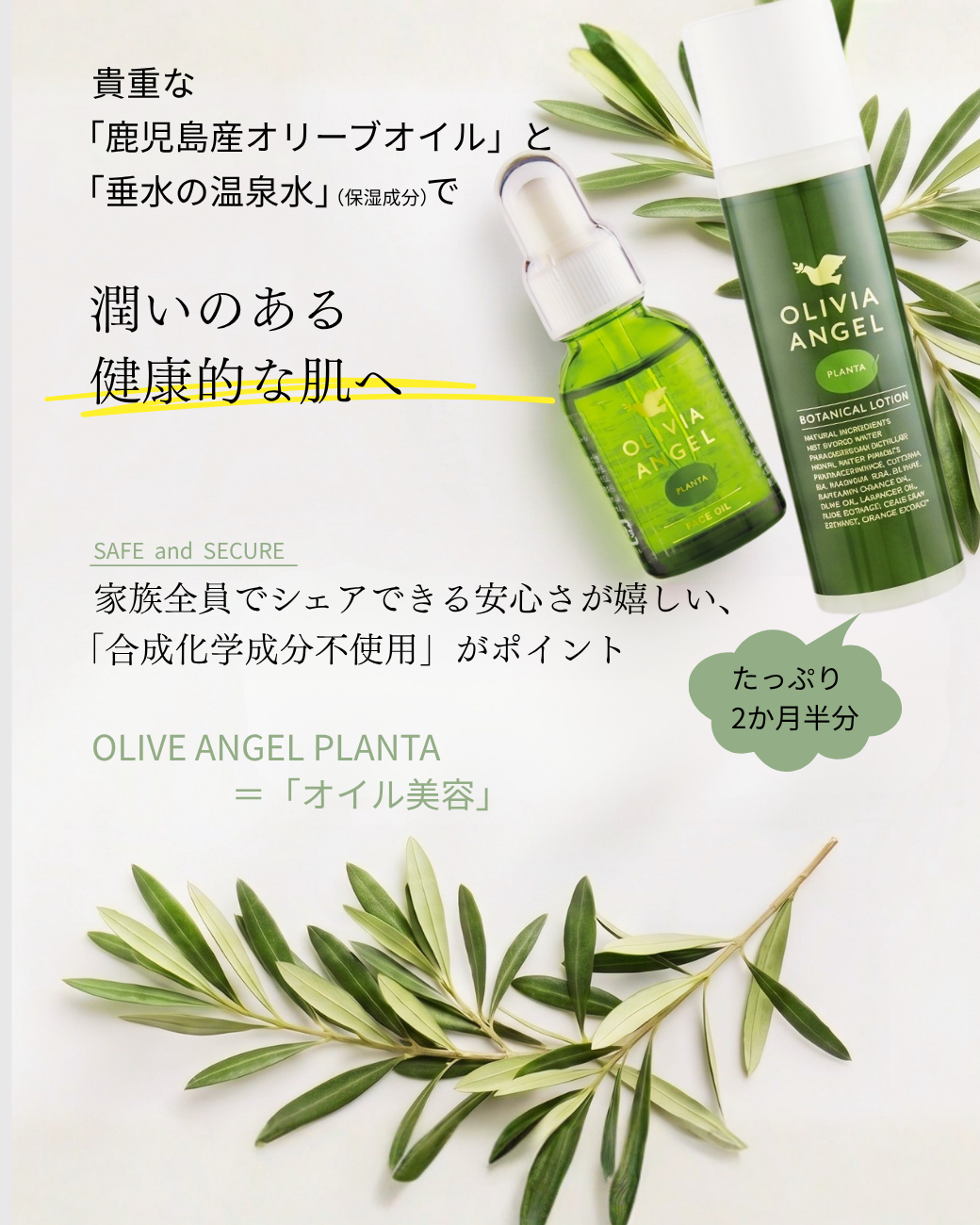 スターターセットのご案内