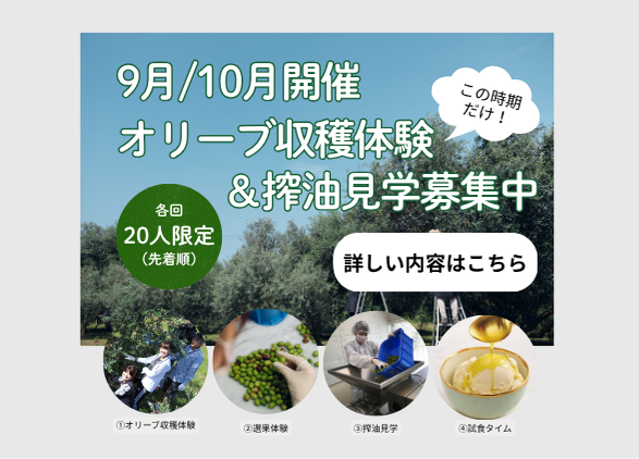 2026年秋 収穫体験＆搾油見学